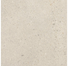 Nahaufnahme einer hellen Betonsteinplatte mit gesprenkelter Textur