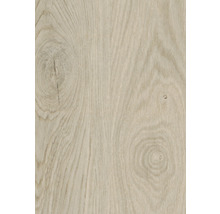 Nahaufnahme einer hellen Holzoberfläche mit Maserung