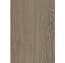 Nahaufnahme einer Holzoberfläche