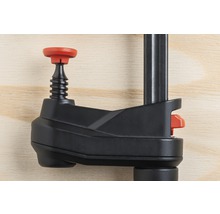 Werkzeugzwinge im Detail