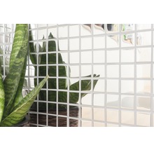 Wandfliesen mit Spiegeloptik und Zimmerpflanze