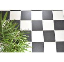 Schachbrettmuster mit Bodenfliesen und einer Grünpflanze