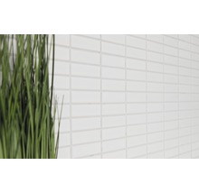 Wandfliesen aus Keramik im Badezimmer mit Pflanzendekoration