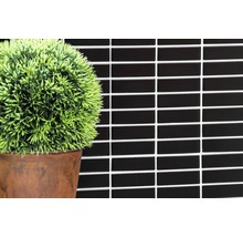 Schwarze Mosaikfliesen an der Wand mit Dekoration