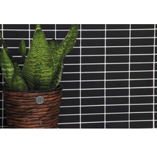 Pflanze in einem geflochtenen Topf vor einer Wand aus rechteckigen Fliesen