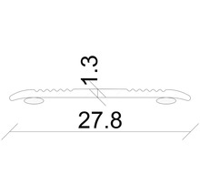Illustration eines Übergangsprofils mit den Maßen 27,8 mal 1,3