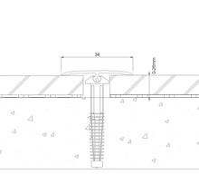 Technische Zeichnung eines Übergangsprofils mit Befestigungsschraube und Maßangaben