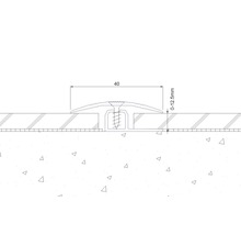 Technische Zeichnung eines Übergangsprofils mit Schraube und den Maßen 40 Millimeter und 0 bis 12,5 Millimeter.