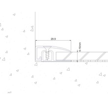 Technische Zeichnung eines Übergangsprofils mit den Maßen 29,9 Millimeter und 6 bis 16 Millimeter.