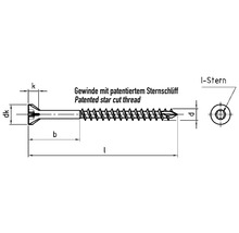 Technische Zeichnung einer Schraube mit patentiertem Sternschliff