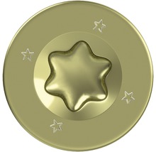 Schraubenkopf mit Torx Antrieb und Sternen