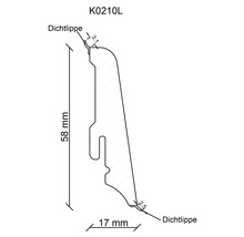 Technische Zeichnung eines Profils mit Dichtlippe, 58 mm hoch und 17 mm breit