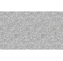 FLAIRSTONE Granit Terrassenplatte Iceland White grau 60 x 40 x 3 cm