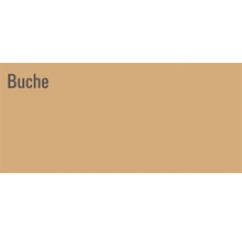 Buche
