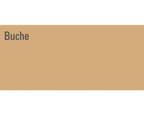 Buche
