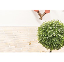 Wandfliesen in Steinoptik und künstlicher Buchsbaum in Kugelform als Dekoration