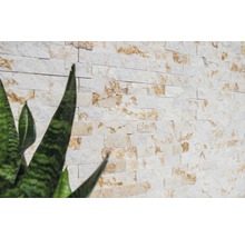 Wandverkleidung aus Naturstein mit Pflanzen im Vordergrund