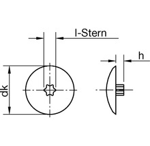 Technische Zeichnung einer Linsenkopfschraube mit I-Stern Antrieb
