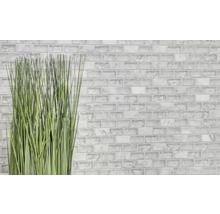 Wandfliesen mit Glasmosaik und dekorativem Gras