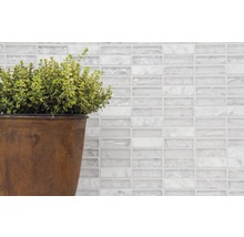 Dekorative Wand mit weißen Glasmosaikfliesen und Topfpflanze