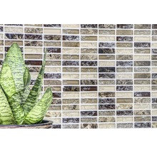 Mosaikfliesenwand mit Zimmerpflanze im Topf