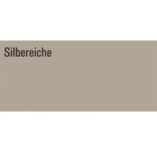 Silberreiche Farbmuster