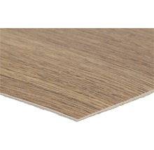 Dekorplatte in Holzoptik für den Innenausbau