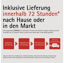 Inklusive Lieferung innerhalb von 72 Stunden nach Hause oder in den Markt