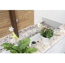 Dekorative Steinfliesen verschönern einen Außenbereich mit Pflanzen und Dekorationen.