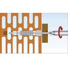 Illustration einer Schraube mit Dübel in einer Lochziegelwand