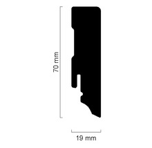 Profilquerschnitt mit Maßangaben 70 mm und 19 mm