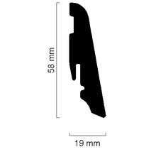 Profilquerschnitt mit Abmessungen 58 mm und 19 mm
