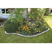 Gartenszene mit Blumenbeet, Buchsbaumkugel und Rasenfläche