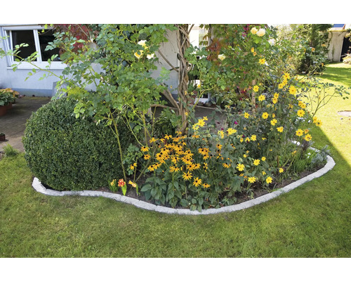 Gartenszene mit Blumenbeet, Buchsbaumkugel und Rasenfläche