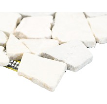 Marmor Mosaikfliese auf einem Netz