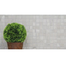 Künstliche Buchskugel im Topf vor Mosaikfliesen