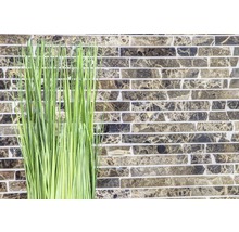 Dekorative Halme vor einer Wand mit Steinoptik