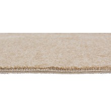 Nahaufnahme eines Teppichs mit Flor