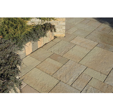 Verlegtes Pflaster mit Pflanzen