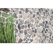Wandfliesenmosaik mit Natursteinoptik