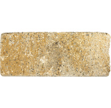 Pflasterstein aus Beton