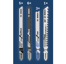 Bosch Stichsägeblätter Set mit verschiedenen Blättern für Holz und Metall
