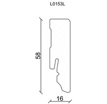 Technische Zeichnung eines Profils mit Maßangaben 58 und 16.