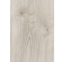 Holzstruktur Nahaufnahme