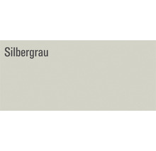Silbergraue Farbdarstellung
