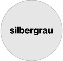 Silbergrau Schriftzug