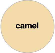Camel Schriftzug auf hellem Hintergrund