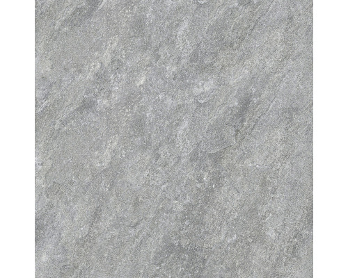 Wand- und Bodenfliese Bet Silver Grey 60x60 rekt