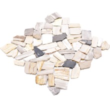 Mosaikfliesen aus versteinertem Holz