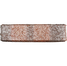 Ziegelstein mit rauer Oberfläche